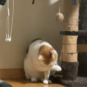 こっそり撮りましたの画像