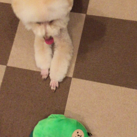 お豆さんのその後の画像