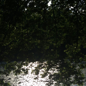 昨日のはなしの画像