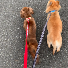 今だぁ〜出発！の画像