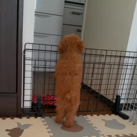 待ち遠しいの画像