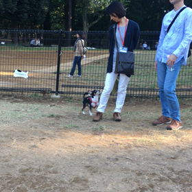 クーちゃんの散歩の画像