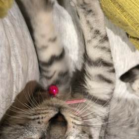 最近の麗ちゃんの画像