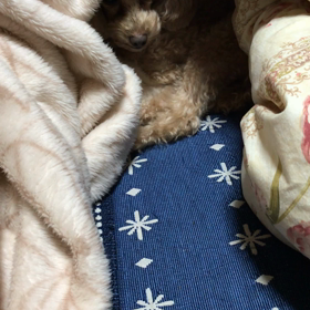 ペットボトル好きの画像