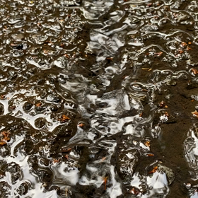 雨上がり♪の画像