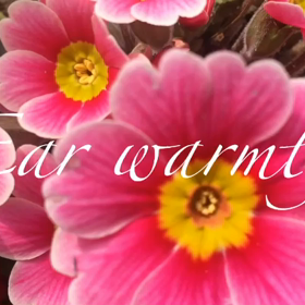 あったかいんだから〜❣️の画像