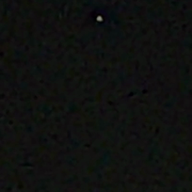 今夜も目撃〜‼️の画像