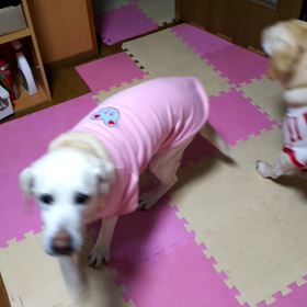 ラブ17歳3ヵ月。の画像