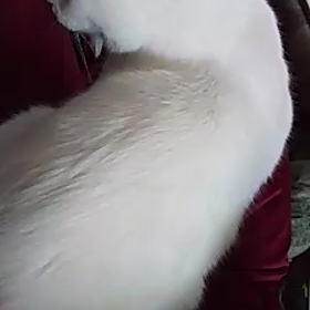 a8ヒロくんの画像