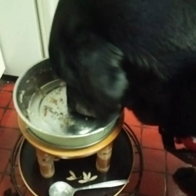 食べてます～♪の画像