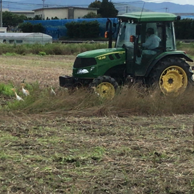 なんだろね〜（笑）の画像