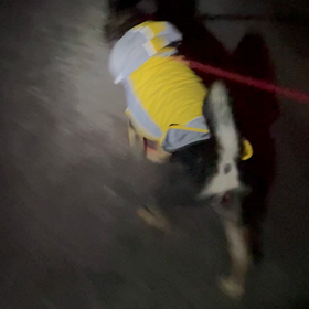 夜でも雨でも大丈夫の画像