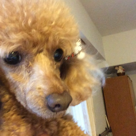 さぶい‼︎の画像