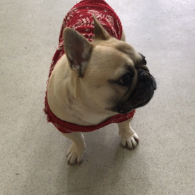 ♪プレイルーム動画♪①の画像