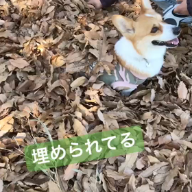 もうひとつのロケット☆スタートの画像