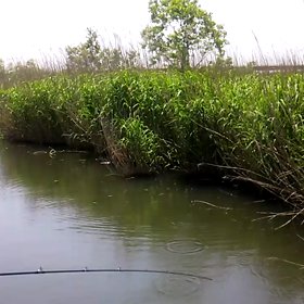 出たぁ～！けど、(movie)の画像