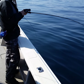 本日の動画その7の画像