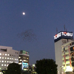 TOBU②動画の画像