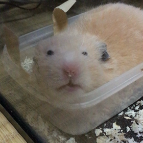 夢の中？の画像