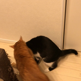 バトル。の画像