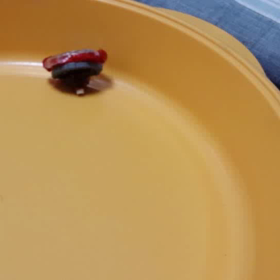 逆再生part３の画像