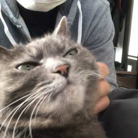 気になった事、発見？の画像