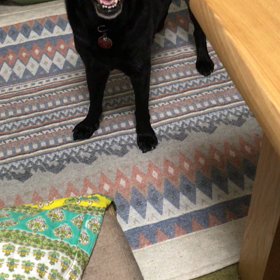 言いたいことがあるの画像