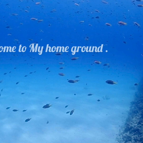 久々のボートダイブの画像