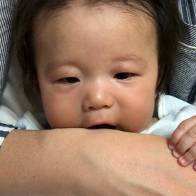 パパの腕はむはむの画像