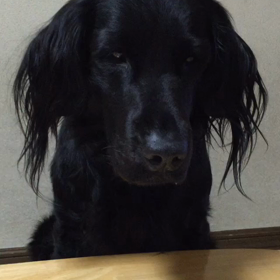 食べるの一瞬。の画像