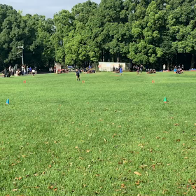 10色リレー 折り返し⑥の画像