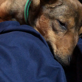 ガク ロス・初日の画像