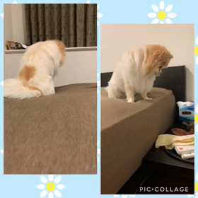 危険察知能力の画像