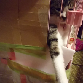 たくさん、遊んだ‼️の画像