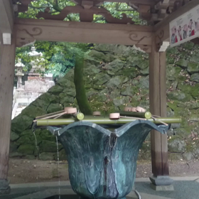 小さな幸せが 一つ君に届きますように(⌒‐⌒)の画像