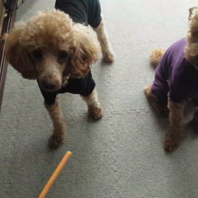 おやつの時間☆の画像