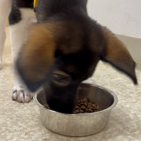 岬ちゃん、決まりました。の画像