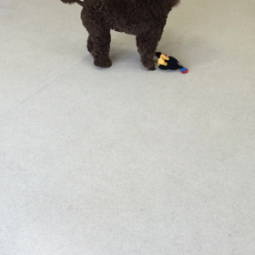 ♪プレイルーム動画♪の画像