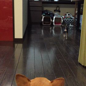 バックオーライの画像