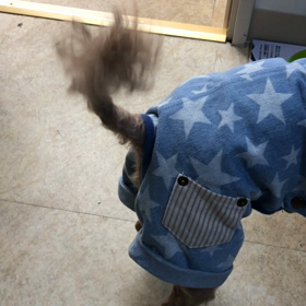 そういえばの結果話し…の画像