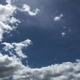 大量トンボと盆明けの 画像