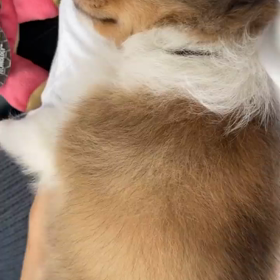 20210518 Win IGSの画像