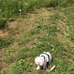 大ちゃんやればできるやん！笑の画像