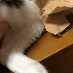 乳がん検診へ…皮膚炎ガムテープデール。の画像