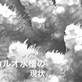 サグラダファミリアを目指しての画像