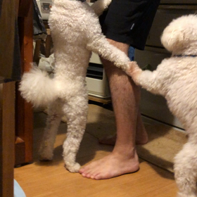 牛乳パック の画像