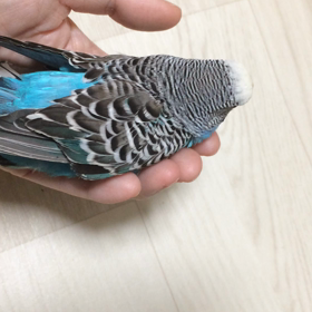 そこに行きたい訳の画像