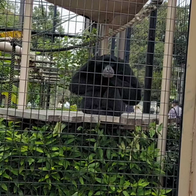 時間がないから(>_<)の画像