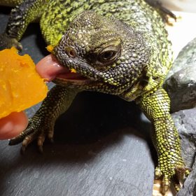 ハロウィンの画像