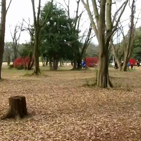 400mインターバル中間点⑧の画像